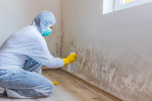 Licensed Crawl Space Mold Removal service in Lonaconing, MD - WQB Mold Removal